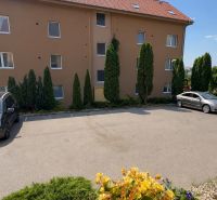 Parkoviště před bytovkou ve Velkém Lapáši s auty a zelení v okolí.
