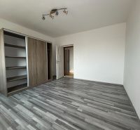 Prostorný pokoj s podlahou s dřevěným dekorem a vestavěnou skříní v 2pokojovém bytě.
