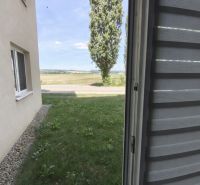 Pohled z okna na trávník a strom u 1-pokojového bytu ve Zlatých Moravcích.