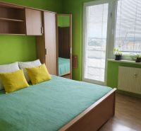 Zelená ložnice s postelí a skříní na dřevěném dekoru ve 3-pokojovém bytě.