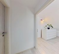 Interiér 3-pokojového bytu s podlahou s dřevěným dekorem a moderními dveřmi.