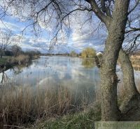 Jezero obklopené stromy a rákosím v prostředí u rodinných domů v Tvrdošovcích.