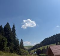 Rekreační pozemky v Litmanové s lesem, cestou a dřevěnými chatkami pod modrou oblohou.