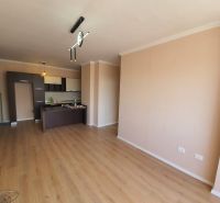 Obývací prostor s kuchyňským koutem a podlahou s dřevěným dekorem v Rekreačním apartmánu.