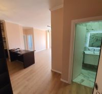 Rekreační apartmán s podlahou s dřevěným dekorem a moderní koupelnou.