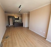 Kuchyně v rekreačním apartmánu s podlahou s dřevěným dekorem a jemnými barvami na stěnách.