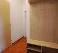 Předsíň s botníkem a věšákem v 2-pokojovém bytě, podlaha s dřevěným dekorem.