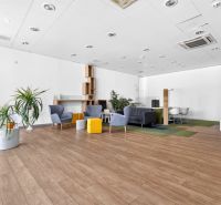 Obchodní prostory s křesly, rostlinami a podlahou s dřevěným dekorem, nabízející pohodlné sezení.