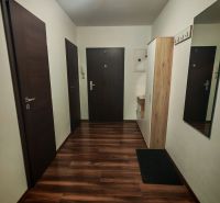 Vstupní hala 2pokojového bytu s podlahou s dřevěným dekorem a věšákem.