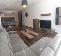 Obývací pokoj v 2-pokojovém bytě s podlahou s dřevěným dekorem, pohovkou a TV stěnou.