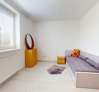 Pokoj v 3-pokojovém bytě s pohovkou, křeslem a rostlinou na podlaze s dřevěným dekorem.
