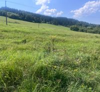 Travnaté pozemky na bydlení v Olešné s lesním pozadím a elektrickými sloupy.