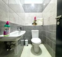 Koupelna v obchodních prostorách s WC, umyvadlem a ozdobnou květinou na poličce.