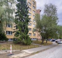 Ulice Benadová v Košicích - městská část Dargovských hrdinů s bytovým domem a stromy.