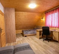 Pokoj v rodinném domě s dřevěnými stěnami, podlahou s dřevěným dekorem a pracovním stolem.