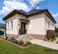 Rodinný dům v Nitře se zahradou, trávníkem a okrasnými rostlinami pod modrou oblohou.