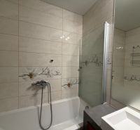 Koupelna ve 3pokojovém bytě se sprchovým koutem a květinovým obkladem.