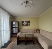 Obývací pokoj v 3-pokojovém bytě s pohovkou, podlahou s dřevěným dekorem a šatní skříní.