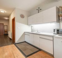 Kuchyňský kout s linkou a mikrovlnkou, podlaha s dřevěným dekorem v rekreačním apartmánu.