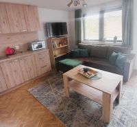 Obývací pokoj na chatě s podlahou s dřevěným dekorem, sedací soupravou a stolkem.