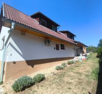 Rodinný dům v Divíně s hnědou střechou a zahradou lemovaný trávníkem a keři.