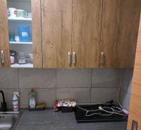 Kuchyně s dřevěnými skříňkami, dřezem a pracovní deskou v garsonce.