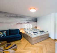 Rekreační apartmán s pohovkou, postelí a podlahou s dřevěným dekorem.