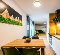 Interiér rekreačního apartmánu s kuchyňskou linkou a stolem, podlaha s dřevěným dekorem.