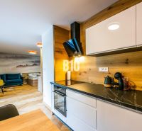 Kuchyně s dřevěným dekorem, pohovkou a uměleckou stěnou v rekreačním apartmánu.