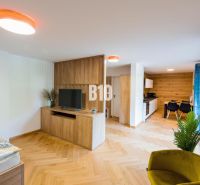 Interiér rekreačního apartmánu s podlahou s dřevěným dekorem, televizí a kuchyňským koutem.