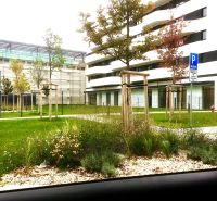 2-pokojový byt, Údernícka ulice, Bratislava - Petržalka, venkovní prostor, zeleň, parkoviště.