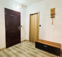Interiér 4-pokojového bytu s bílými stěnami, podlahou s dřevěným dekorem a tmavými dveřmi.