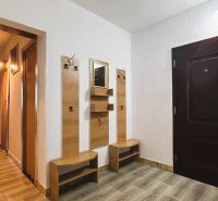 Vstupní chodba se zrcadlem a věšákem, 4pokojový byt s podlahou s dřevěným dekorem.