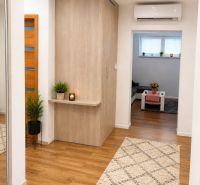 Interiér rodinného domu s podlahou s dřevěným dekorem, koberec a rostliny dekorují chodbu.