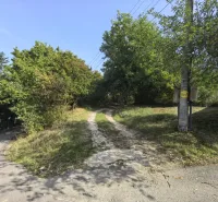 Viditelná rozvětvená cesta v zahradách Kolačna obklopená zelení a elektrickým sloupem.