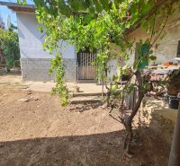 Zahrada rodinného domu v Dolních Otrokovicích s vinicí a bránou.