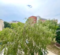 Pohled na zelené stromy v Bratislava - Dúbravka, Sekurisova, obklopené obytnými budovami.