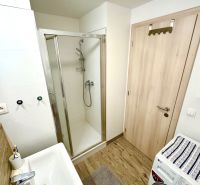 Koupelna s umyvadlem, sprchovým koutem, pračkou a podlahou s dřevěným dekorem v 1-pokojovém bytě.