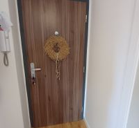 Vstupní dveře v 2-pokojovém bytě s věncem a podlahou s dřevěným dekorem.