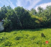 Pozemky - bydlení v Žehni s hustou zelení a starou stavbou.