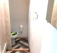 Koupelna s toaletou a podlahou s dřevěným dekorem v 1-pokojovém bytě.