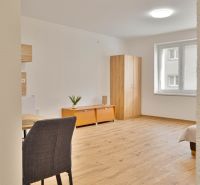 Garsonka s podlahou s dřevěným dekorem, skříň, okno, stůl a dvě skříňky.