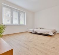 Garsonka s podlahou s dřevěným dekorem, postelí a velkým oknem.