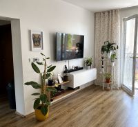 Pokoj v 3-pokojovém bytě s podlahou s dřevěným dekorem, televizorem a rostlinami.