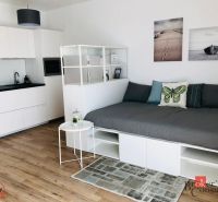 1-pokojový byt s kuchyňskou linkou, pohovkou a podlahou s dřevěným dekorem.