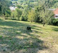 Zahrada u rodinného domu na Sabinovské ulici v Prešově s ovocnými stromy.