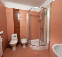 Koupelna v rodinném domě: sprchový kout, toaleta, bidet, obklady v teplých tónech.
