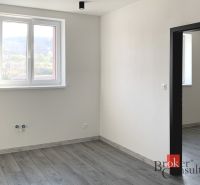 Interiér 1-pokojového bytu s podlahou s dřevěným dekorem a bílými stěnami.