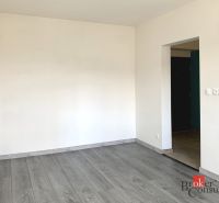 Prázdný pokoj v jednopokojovém bytě s podlahou s dřevěným dekorem.