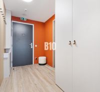 Vstupní hala 1-pokojového bytu s podlahou s dřevěným dekorem a oranžovou stěnou.